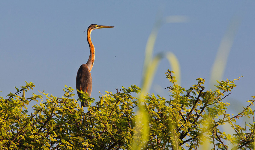 Namibia Kavango Popa Falls Resort